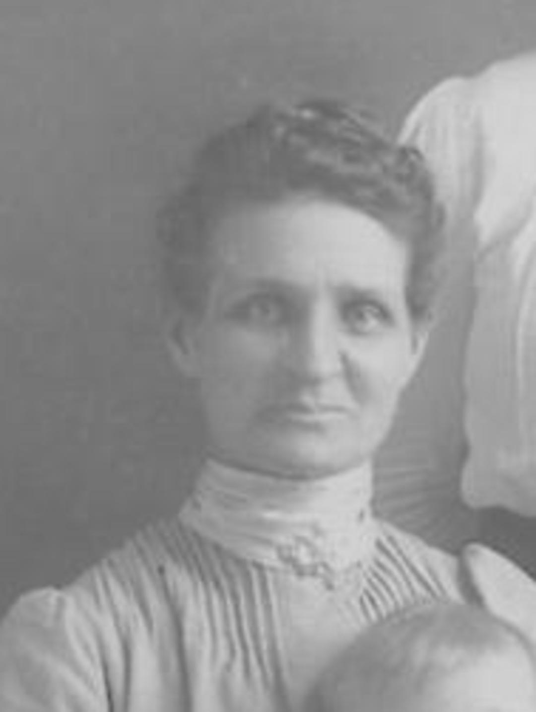 Mary Elizabeth Shepherd (1854 - 1932) Profile